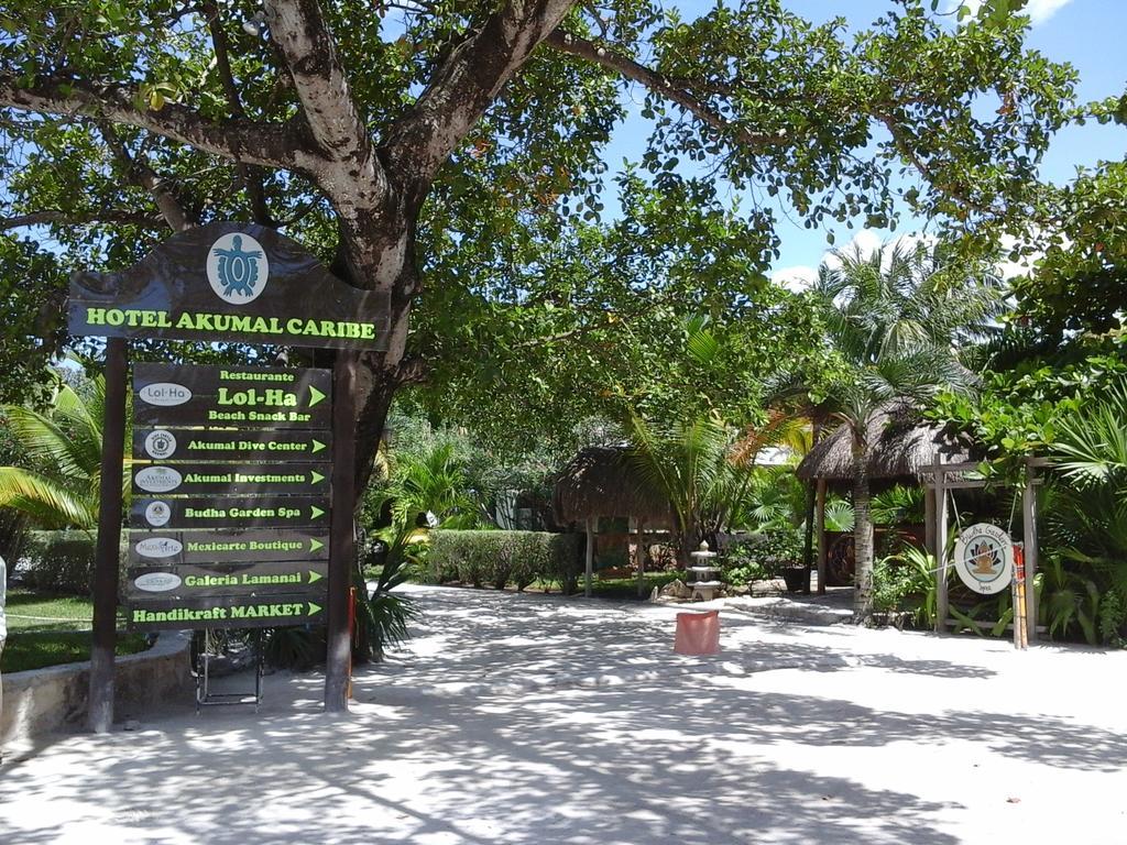 Hotel Club Akumal Caribe מראה חיצוני תמונה